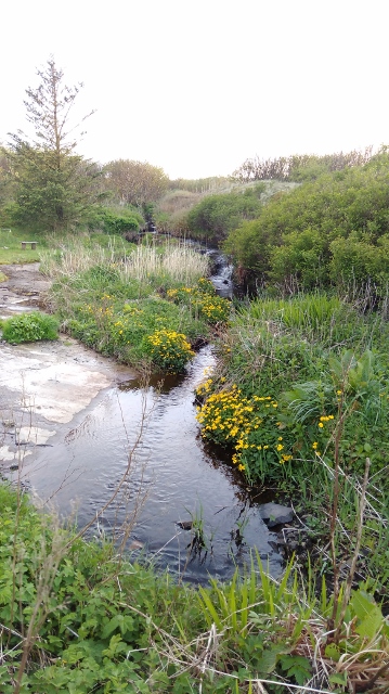 IMG_20180523_204822 (359x640)