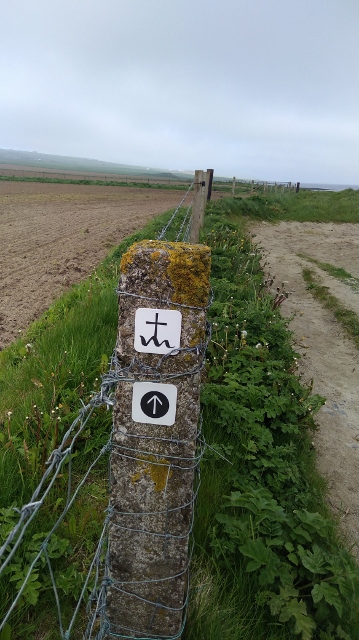 IMG_20180524_095249 (359x640)