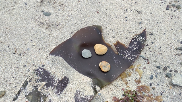 IMG_20180524_095432 (640x359)