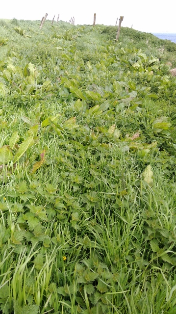 IMG_20180524_101243 (359x640)