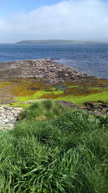 IMG_20180524_103605 (359x640) (2)