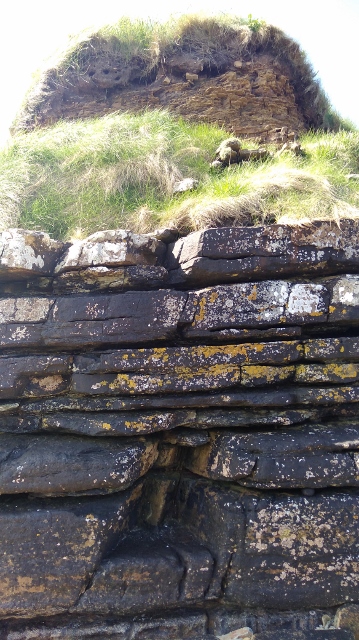 IMG_20180524_105508 (359x640)