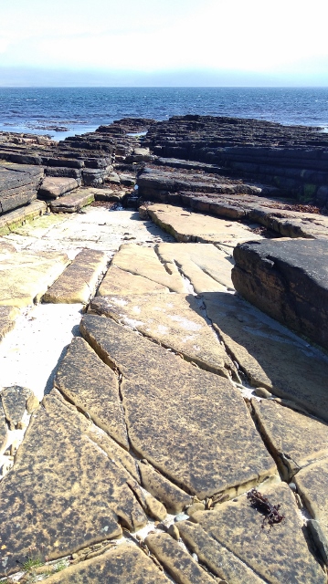 IMG_20180524_105516 (359x640)