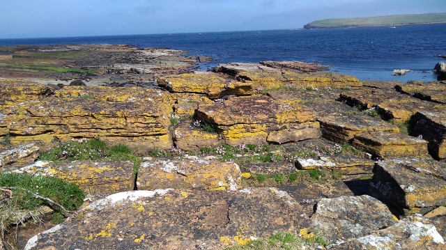 IMG_20180524_105956 (640x359)