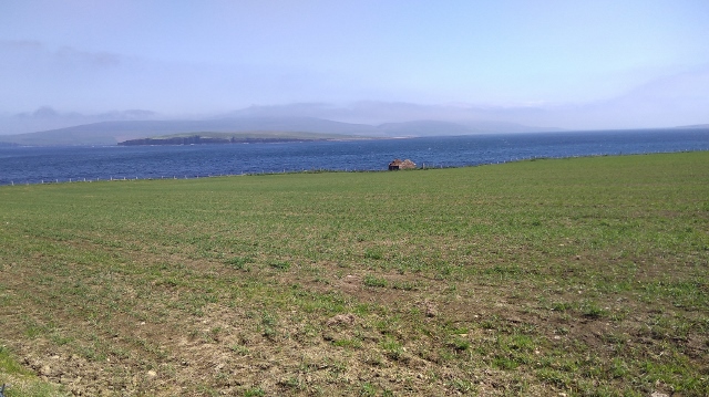 IMG_20180524_125017 (640x359)