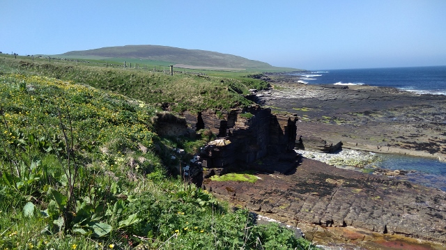 IMG_20180524_135007 (640x359)