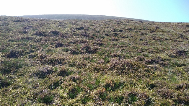 IMG_20180524_145653 (640x359)