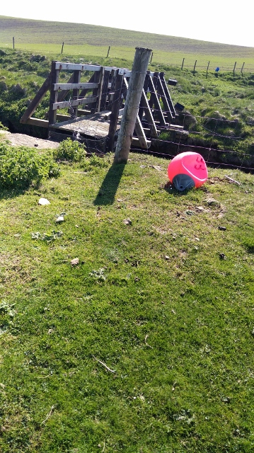 IMG_20180524_160250 (359x640)