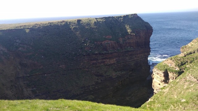 IMG_20180524_170523 (640x359)