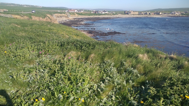 IMG_20180524_180355 (640x359)