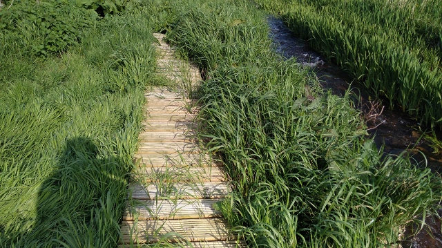 IMG_20180525_090627 (640x359)