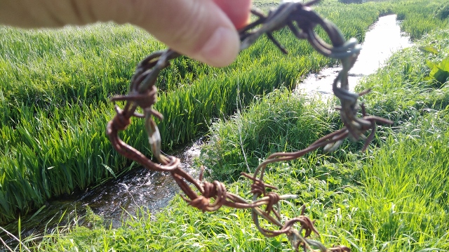 IMG_20180525_090817 (640x359)