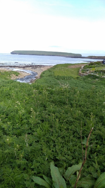 IMG_20180525_093649 (359x640)