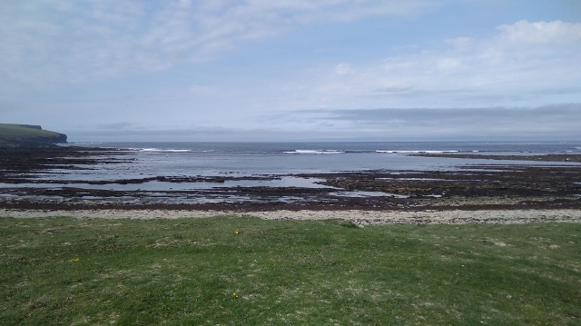 IMG_20180525_094451 (640x359)