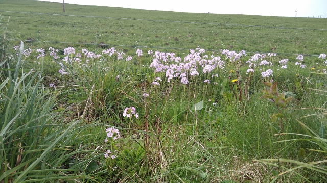 IMG_20180525_103839 (640x359)