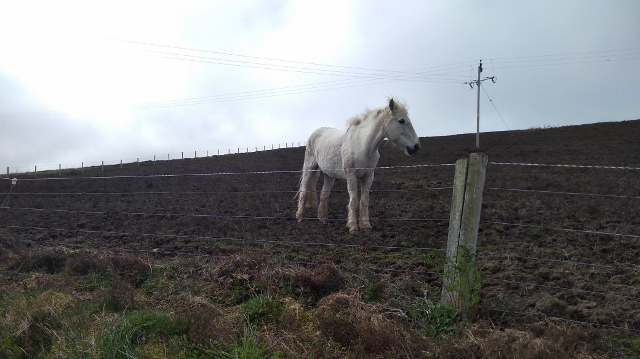 IMG_20180525_104500 (640x359)