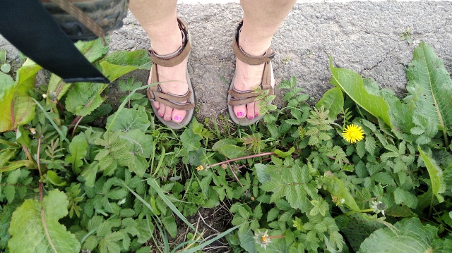 IMG_20180525_105821 (640x359)