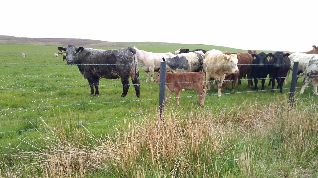 IMG_20180525_124314 (640x359)