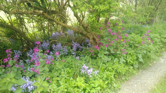 IMG_20180525_130715 (640x359)