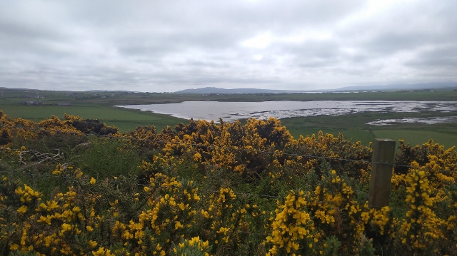 IMG_20180525_130947 (640x359)