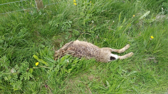 IMG_20180526_105144 (640x359)