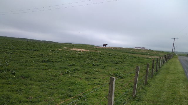 IMG_20180526_110247 (640x359)