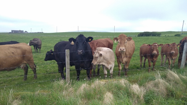 IMG_20180526_112456 (640x359)