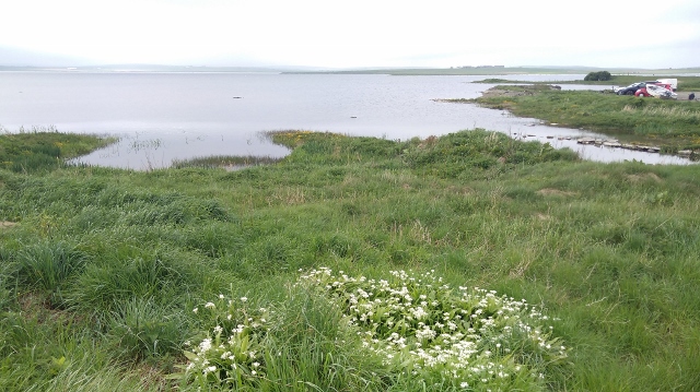 IMG_20180526_112855 (640x359)