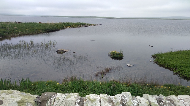 IMG_20180526_113541 (640x359)