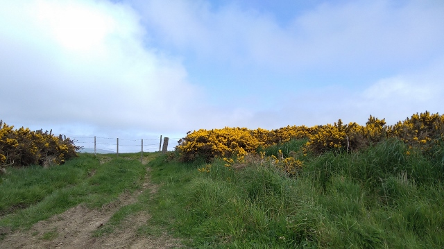 IMG_20180526_122248 (640x359)