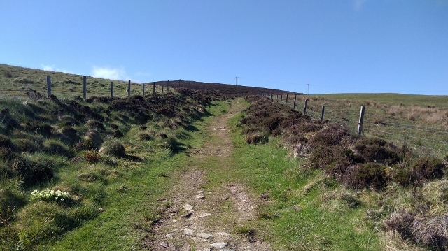 IMG_20180527_093254 (640x359)