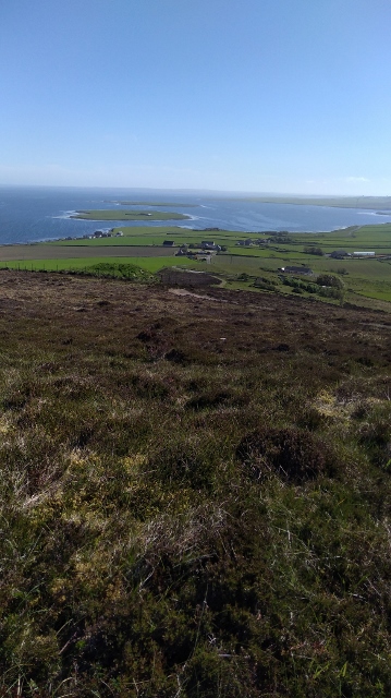 IMG_20180527_094259 (359x640)