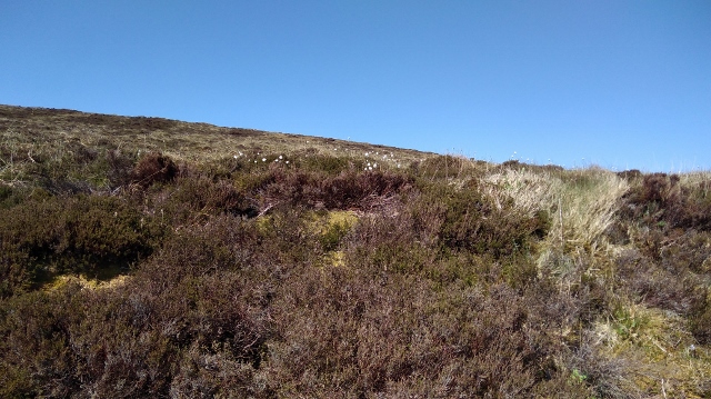 IMG_20180527_102823 (640x359)