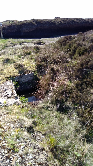 IMG_20180527_104426 (359x640)