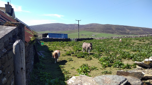 IMG_20180527_112230 (640x359)