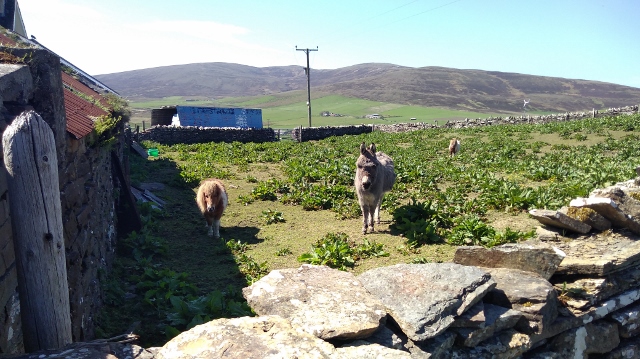 IMG_20180527_112246 (640x359)