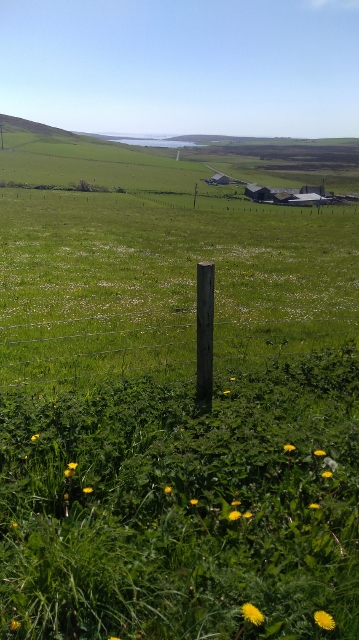 IMG_20180527_114310 (359x640)