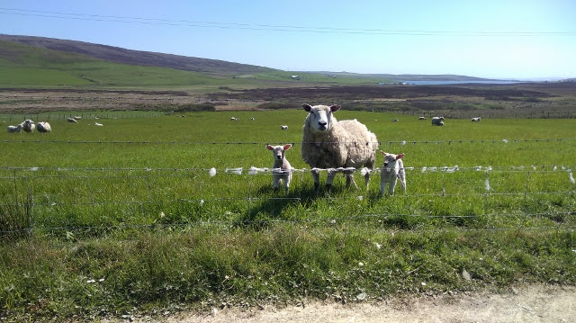 IMG_20180527_121021 (640x359)