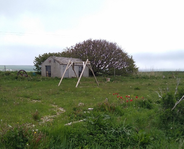 IMG_20180530_065515 (640x520)