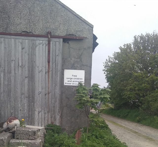 IMG_20180530_065827 (640x597)