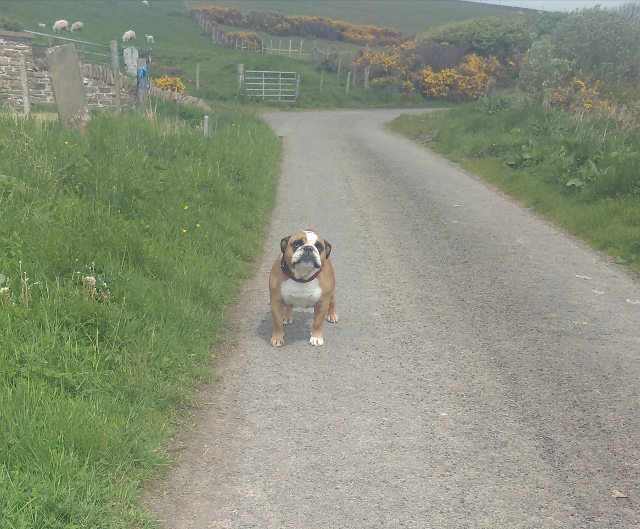 IMG_20180530_065902 (640x529)