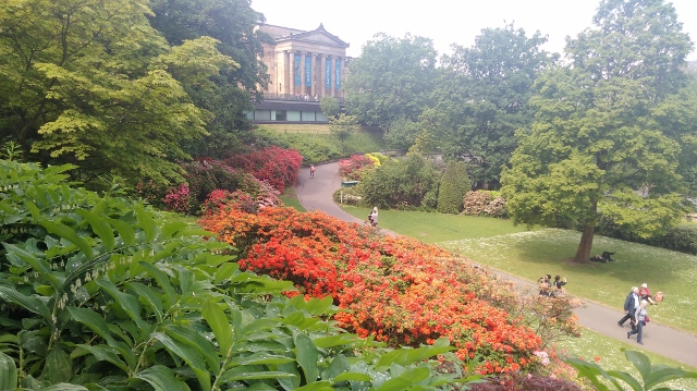 IMG_20180602_121014 (640x359)