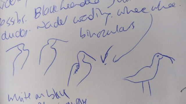 IMG_20180625_134720 (640x359)