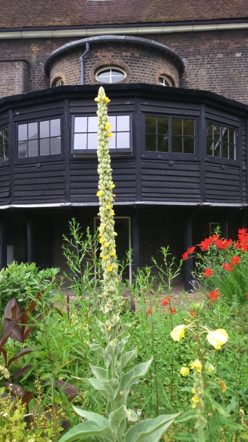 photos aug 15 113 (360x640)