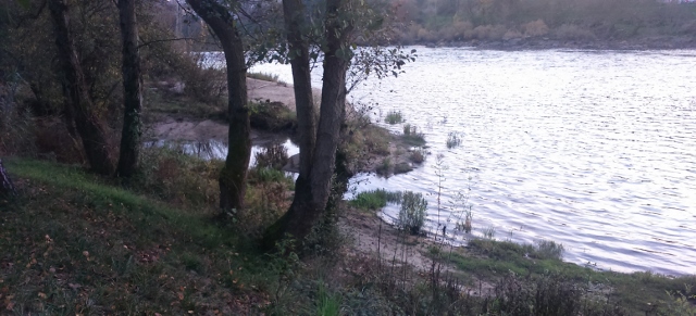 DSC_0019_7 (640x291)