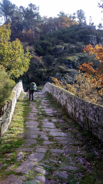 DSC_0027_1 (360x640)