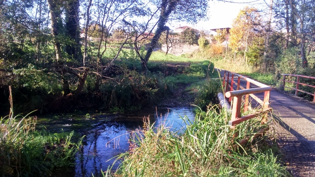 DSC_0036_1 (640x360)