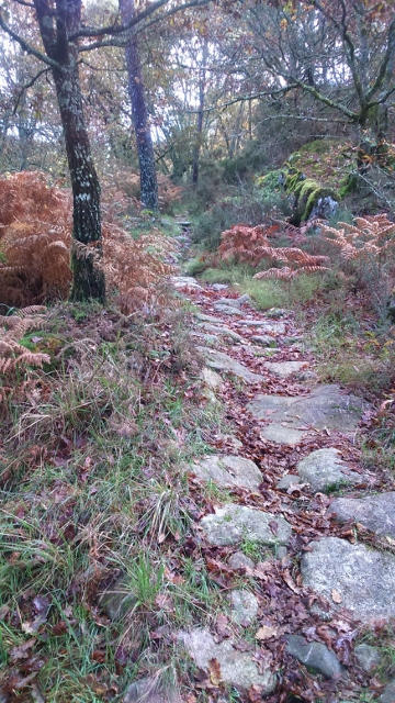 DSC_0038_2 (360x640)