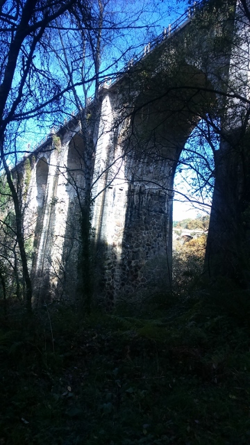 DSC_0042_1 (360x640)