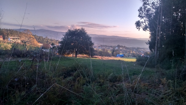 DSC_0061_1 (640x360)